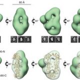 Alvira……Valpuesta – {nov2014}