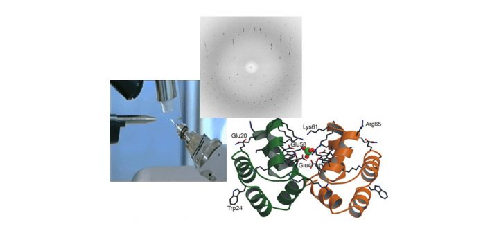 Macromolecular Crystallography School - MCS