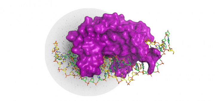 Featured Figure. Molina, et al. Paper of the Month, January 2015