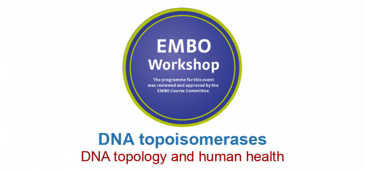 EMBO Workshop 2015. DNA topoisomerases, DNA topology and human health