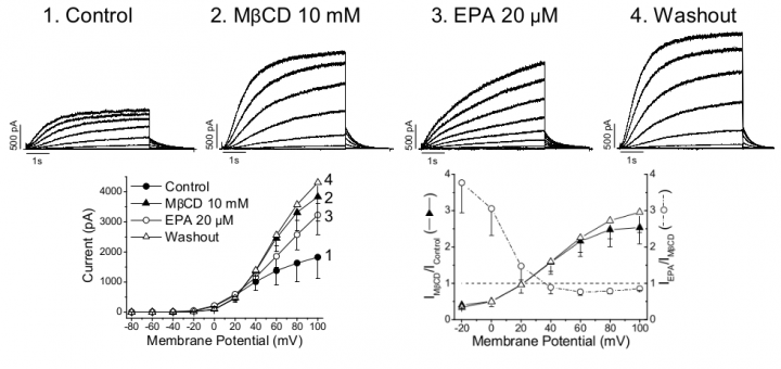 Moreno .... Valenzuela, Cardiovascular Research (2015), 105(2): 223 - 232.