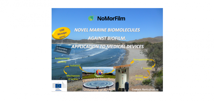 Postdoctoral research fellow in Nuclear Magnetic Resonance (EU project Nomorfilm)