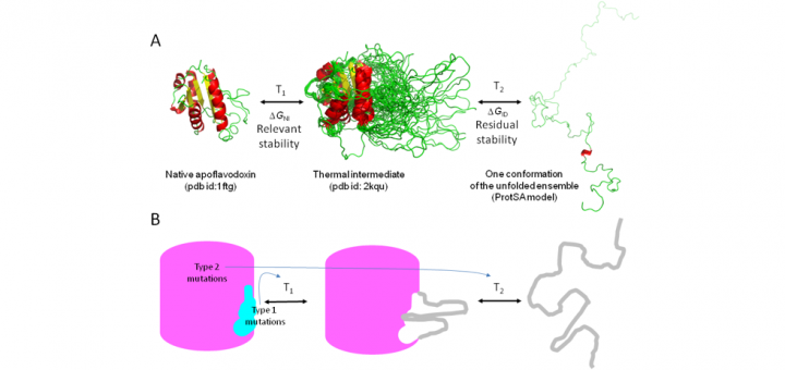 Sci Rep. 2015 Mar 16;5:9129.