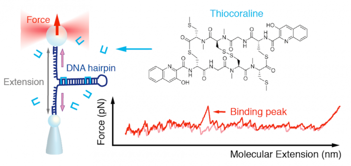 Nucleic Acids Res. 2015 Mar 11;43(5):2767-79. doi: 10.1093/nar/gkv087