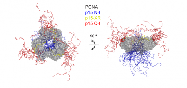 Nat Commun. 2015 Mar 12;6:6439. doi: 10.1038/ncomms7439.