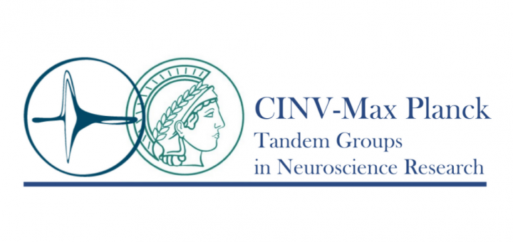 Max Planck Tandem Research Group positions (MPTRG)