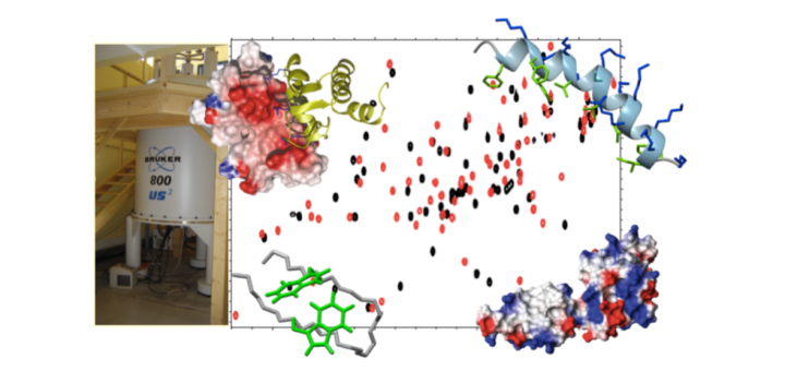 Phd contract: Recognition of biomolecules in complex systems by NMR: methodology, multimolecular interactions and IDPs
