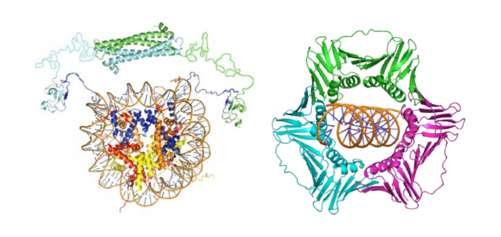 Structural Biology Unit at CIC bioGUNE, F. J. Blanco Group.