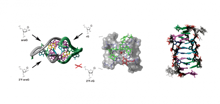 Nucleic Acids NMR group led by Carlos González at the Rocasolano Institute of Physical Chemistry (CSIC), Madrid (Spain)