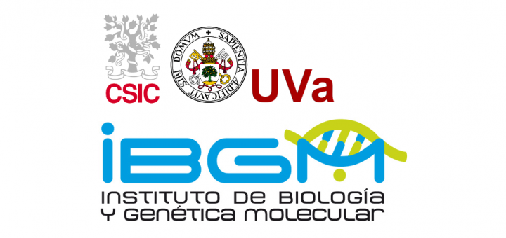 Institute of Biology and Molecular Genetics - IBGM from the University of Valladolid - UVA