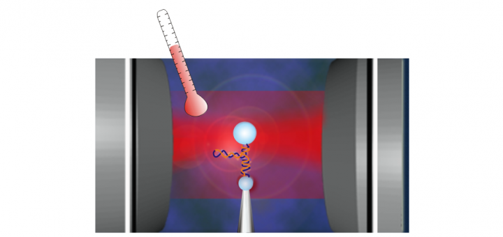 A Temperature-Jump Optical Trap for Single-Molecule Manipulation. Biophys J. 2015; 108(12):2854-64.