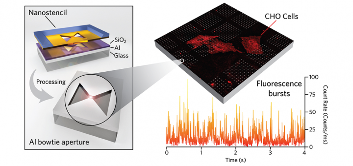 Large-Scale Arrays of Bowtie Nanoaperture Antennas for Nanoscale Dynamics in Living Cell Membranes. Nano Lett. 2015; 15(6):4176-82.