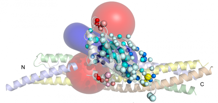 Dynamic binding mode of a Synaptotagmin-1-SNARE complex in solution. Nat Struct Mol Biol. 2015 Jul;22(7):555-64. doi: 10.1038/nsmb.3035.
