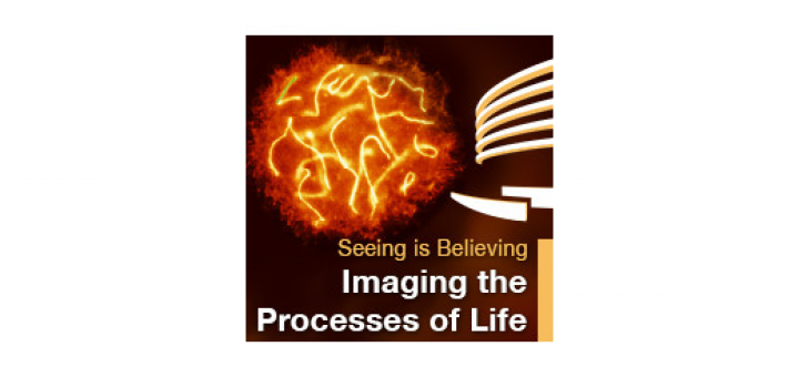 Seeing is Believing - Imaging the Processes of Life