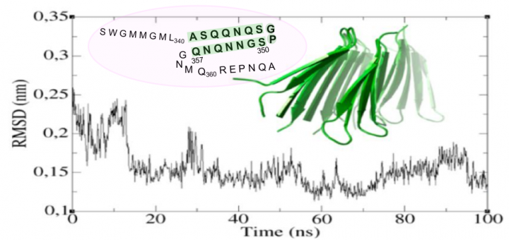 Structural Evidence of Amyloid Fibril Formation in the Putative Aggregation Domain of TDP-43. J Phys Chem Lett. 2015 Jul 2;6(13):2608-15. doi: 10.1021/acs.jpclett.5b00918.