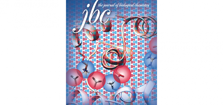 A Three-protein Charge Zipper Stabilizes a Complex Modulating Bacterial Gene Silencing. J Biol Chem. 2015 Aug 28;290(35):21200-12. doi: 10.1074/jbc.M114.630400.