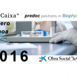 PhD positions "la Caixa" - Severo Ochoa 2016