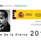 Ayudas para contratos Juan de la Cierva - Convocatoria 2015