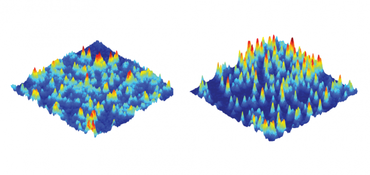The actin cytoskeleton modulates the activation of iNKT cells by segregating CD1d nanoclusters on antigen-presenting cells. Proc Natl Acad Sci U S A. 2016 Feb 9;113(6):E772-81. doi: 10.1073/pnas.1514530113.