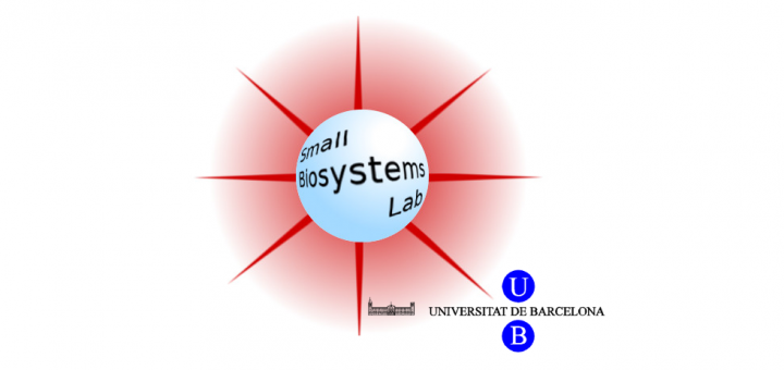 Small Biosystems Lab, University of Barcelona (Felix Ritort Lab).