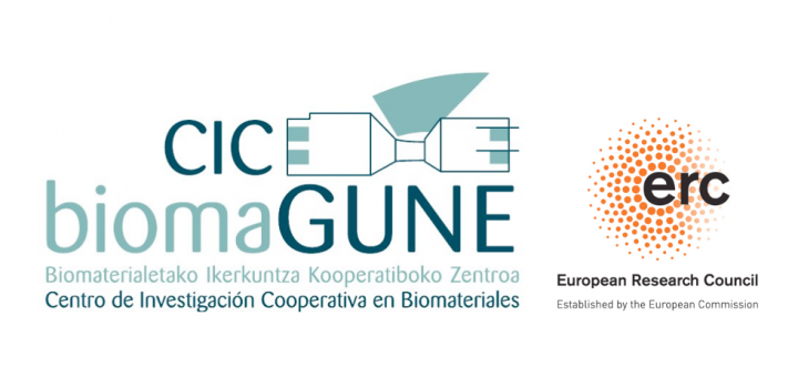 Postdoctoral Position in Computational Protein Engineering. CIC biomaGUNE.