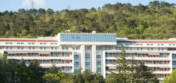 Faculty Position in Bioinformatics or Systems Biology at SISSA