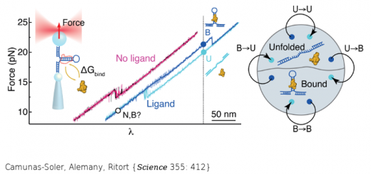 experimental-measurement-of-binding-energy-selectivity-and-allostery