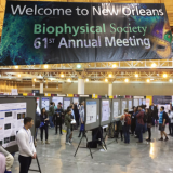 61st Biophysical Society Annual Meeting, New Orleans, Louisiana, USA, February 11-15 2017