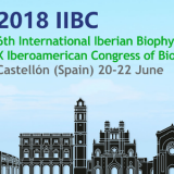 6th Iberian / 10th Iberoamerican Biophysics Congress
