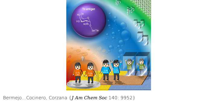 Water Sculpts the Distinctive Shapes and Dynamics of the Tumor-Associated Carbohydrate Tn Antigens: Implications for Their Molecular Recognition. J Am Chem Soc. 2018 Aug 8;140(31):9952-9960. doi: 10.1021/jacs.8b04801.
