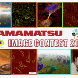 Imagin’Action 2019. Vote your favourite!