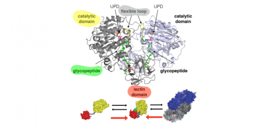 DGA predoctoral fellowship at University of Zaragoza (BIFI) - 2019