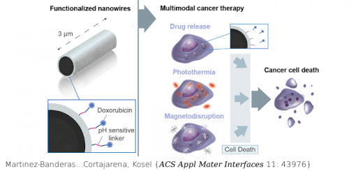 Iron-Based Core-Shell Nanowires for Combinatorial Drug Delivery and Photothermal and Magnetic Therapy. ACS Appl Mater Interfaces. 2019 Nov 27;11(47):43976-43988. doi: 10.1021/acsami.9b17512.