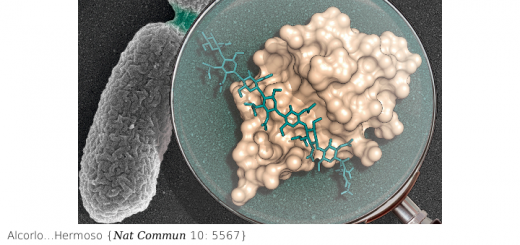 Structural basis of denuded glycan recognition by SPOR domains in bacterial cell division. Nat Commun. 2019 Dec 5;10(1):5567. doi: 10.1038/s41467-019-13354-4.
