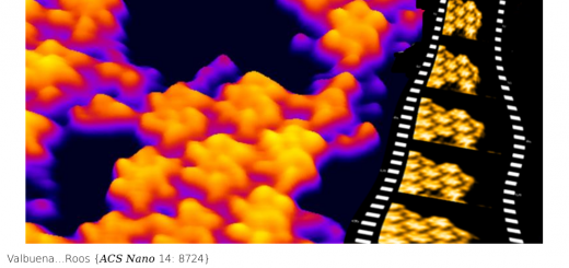 Visualization of Single Molecules Building a Viral Capsid Protein Lattice through Stochastic Pathways. ACS Nano . 2020 Jul 28;14(7):8724-8734. doi: 10.1021/acsnano.0c03207.