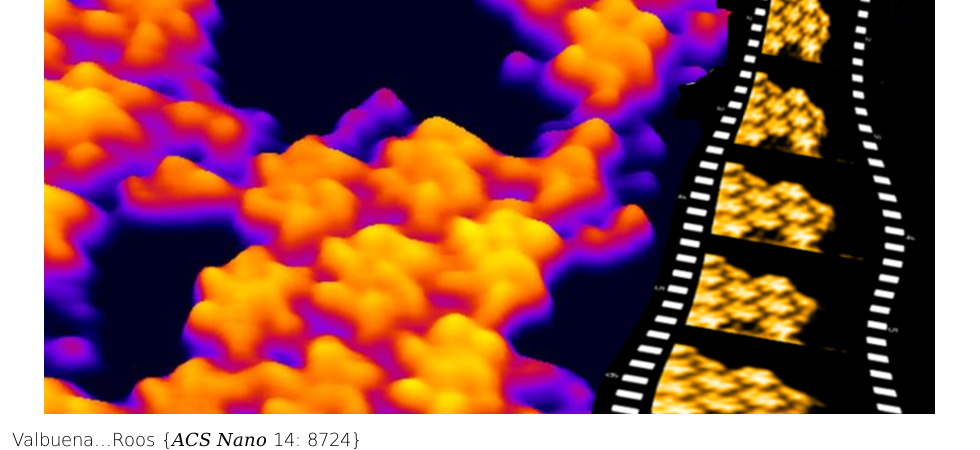 Visualization of Single Molecules Building a Viral Capsid Protein Lattice through Stochastic Pathways. ACS Nano . 2020 Jul 28;14(7):8724-8734. doi: 10.1021/acsnano.0c03207.